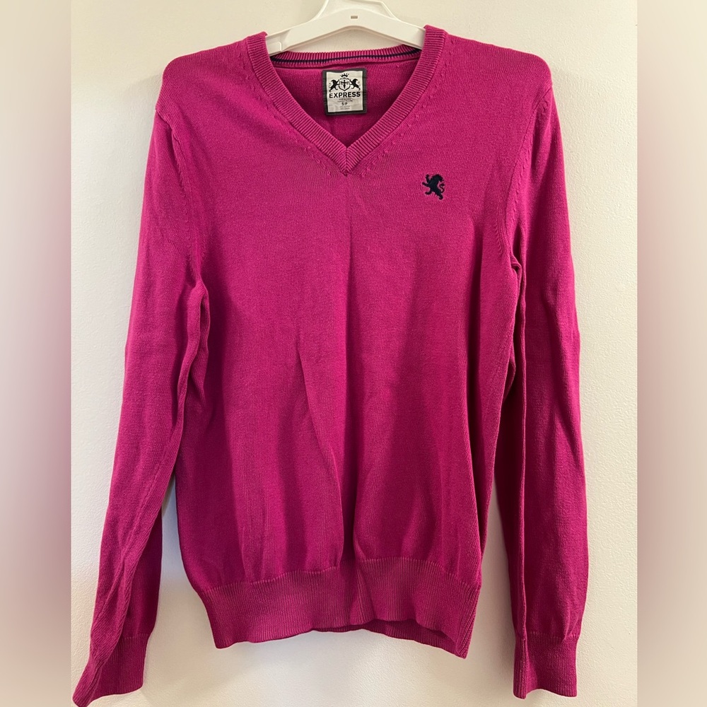 EXPRESS LONG SLEEVE V-NECK  SWEATER p2.